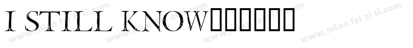 I Still Know字体转换